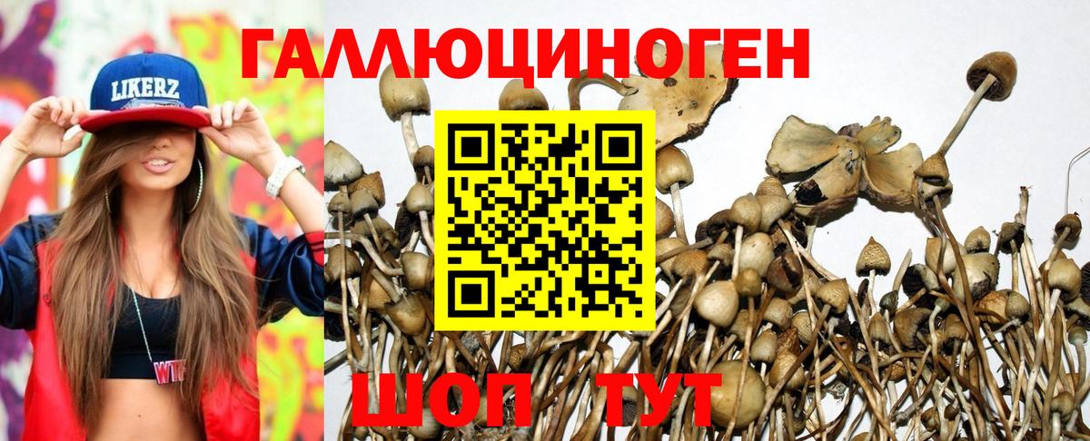 Галлюциногенные грибы мухоморы Острогожск